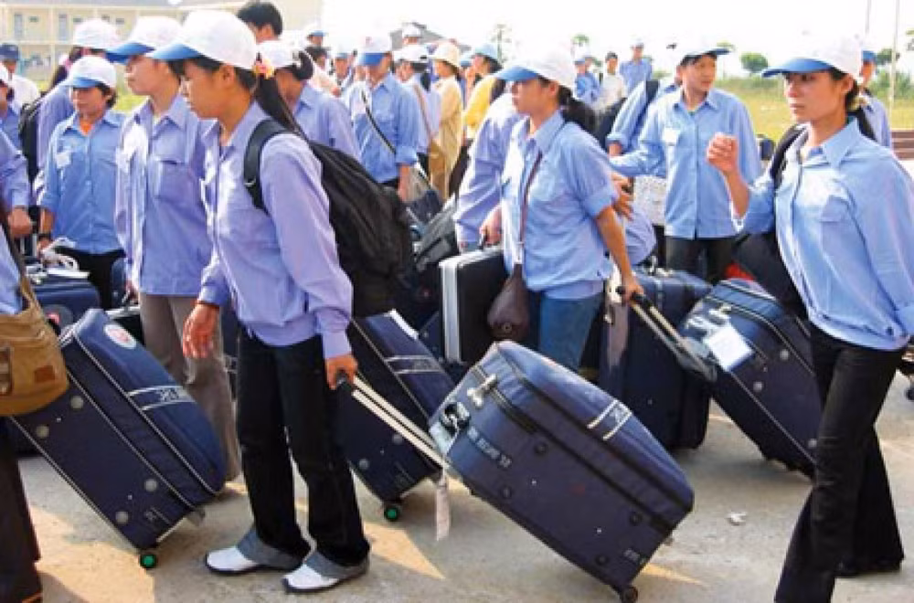 永福省加强劳务输出 解决就业问题 ảnh 1