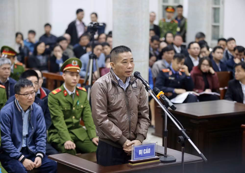 郑春青及其同案犯案件一审：进一步查清各被告人的违法行为 ảnh 2