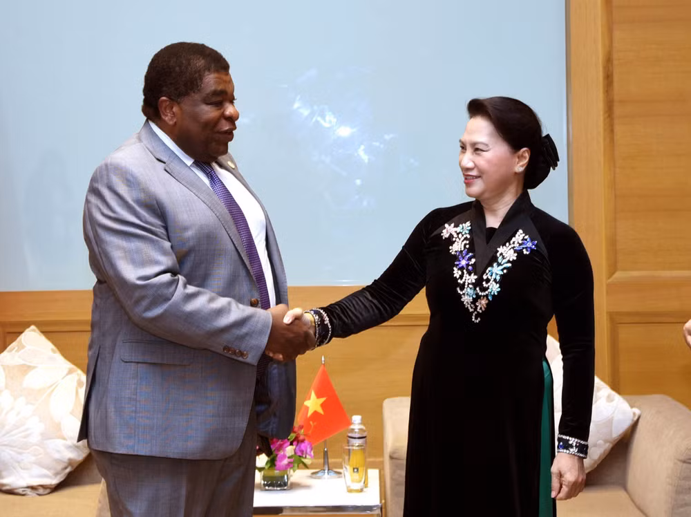 越南国会主席阮氏金银会见各国议会联盟秘书长马丁·纯贡 ảnh 1