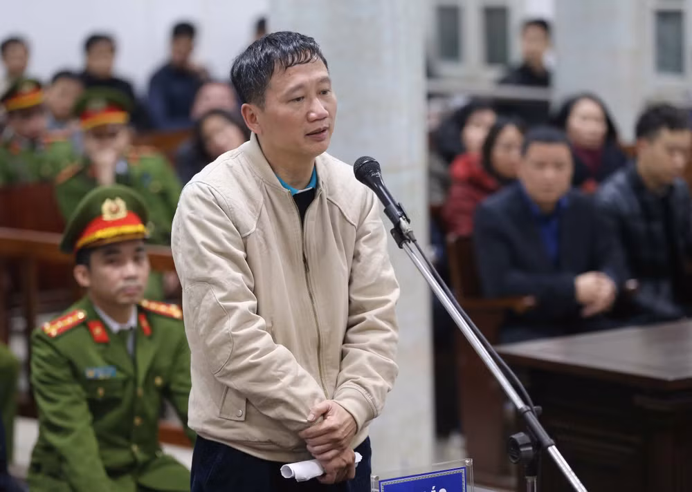 郑春青及其同案犯一案：被告人为自己辩护并为其他被告人辩护 ảnh 2