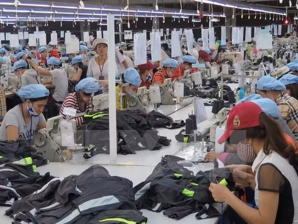 自由贸易协定为越南纺织业带来新机遇 ảnh 1