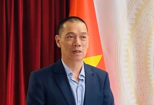 越南与土耳其建交45周年：促进双边合作潜力 ảnh 1
