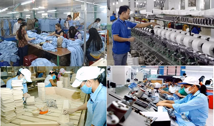 越南东南部地区积极发展高素质人力资源 ảnh 1