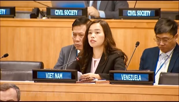 越南:全球弹药管理框架必须符合国际法和《联合国宪章》的基本原则 ảnh 1 越南:全球弹药管理框架必须符合国际法和《联合国宪章》的基本原则 ảnh 1
