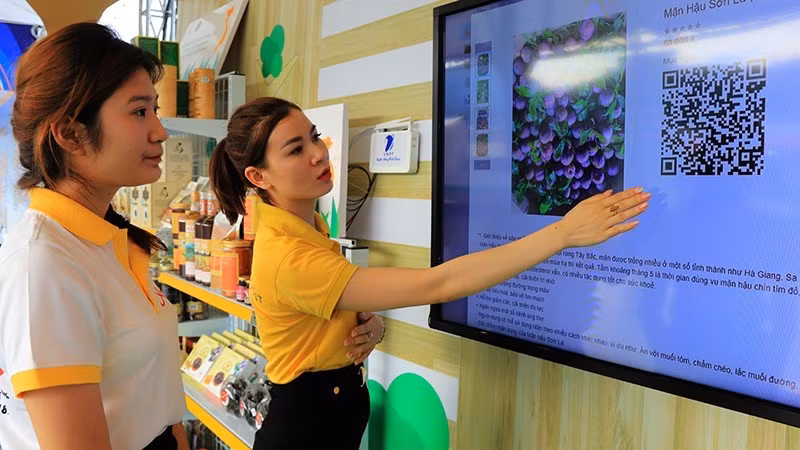 多元水果销售渠道 ảnh 1