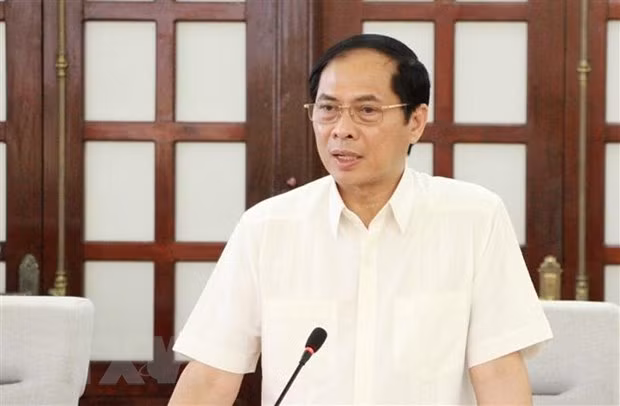 提高领事和公民保护工作的成效 ảnh 1