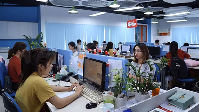 胡志明市努力建设数字政府 ảnh 1