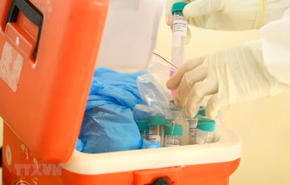 越南新增1例死亡病例 死亡病例累计11例 ảnh 1