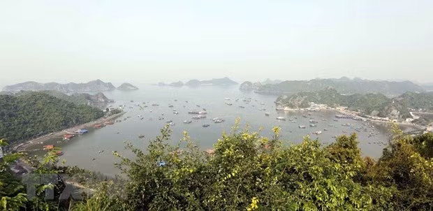 朝着可持续方向促进吉婆世界生物圈储备区的发展 ảnh 1