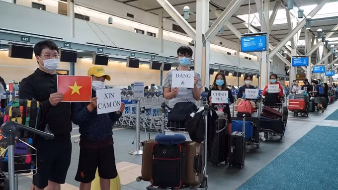 越南将在加拿大和韩国的300余名公民接回国 ảnh 1