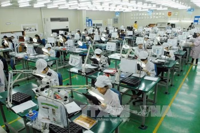 VinaCapital预期越南经济将在2023年恢复所有潜力 ảnh 1