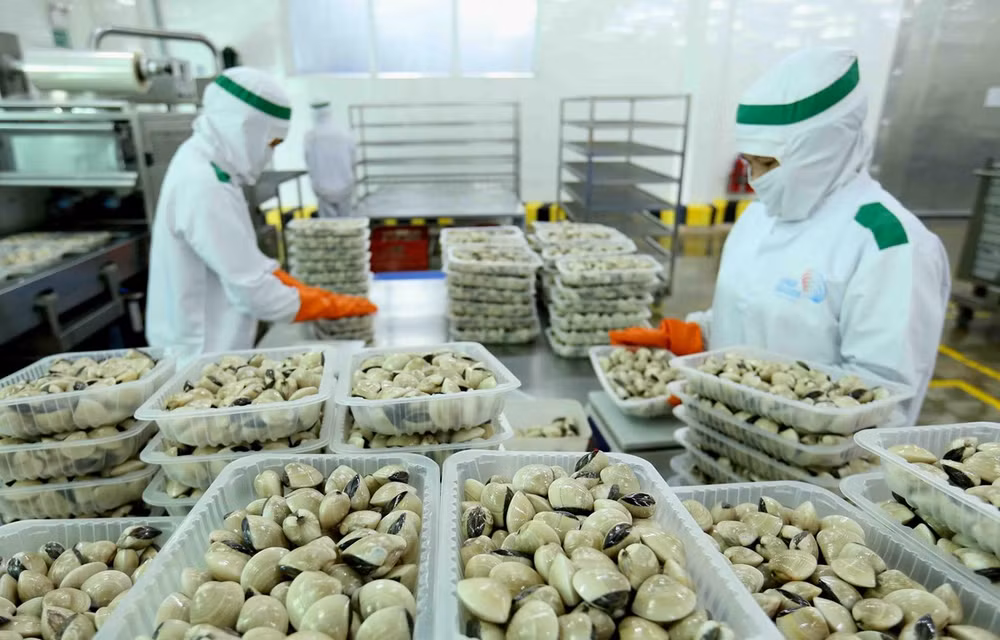 越南企业出口到中国时需要满遵守该市场的规定 ảnh 1