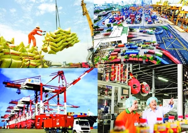 为经济增长注入新动力 ảnh 1