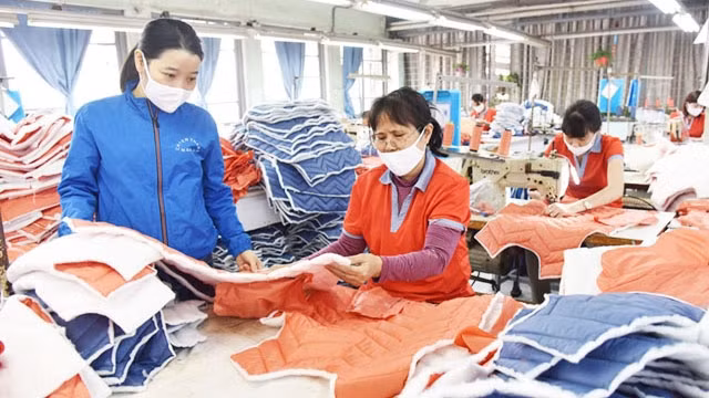 EVFTA——越南经济增速回升的机会 ảnh 1