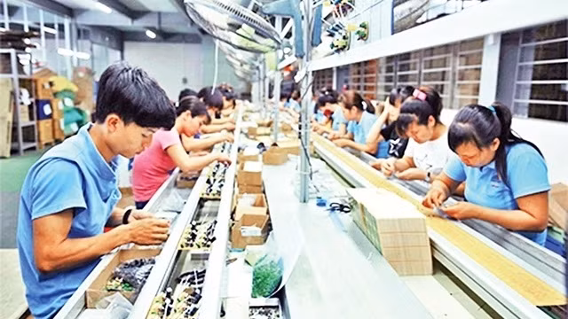 宁平和同塔两省加强对工业区的投资效果 ảnh 1 宁平和同塔两省加强对工业区的投资效果 ảnh 1