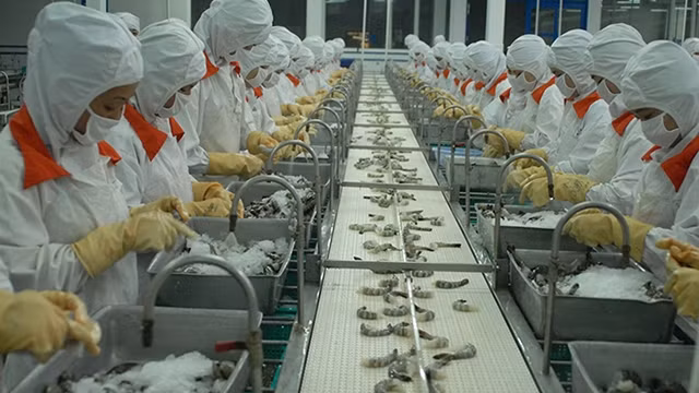 对中国出口：改变思维 迎来发展契机 ảnh 1