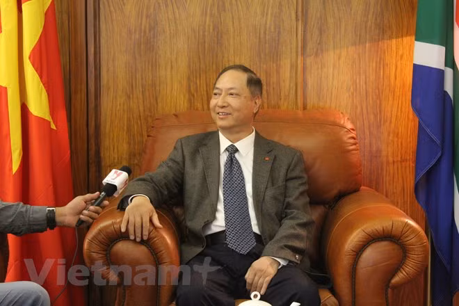 越南驻南非大使：越南与非洲关系发展余地仍然较大 ảnh 1