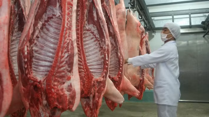 越南暂时停止进口波兰和匈牙利的猪肉 ảnh 1