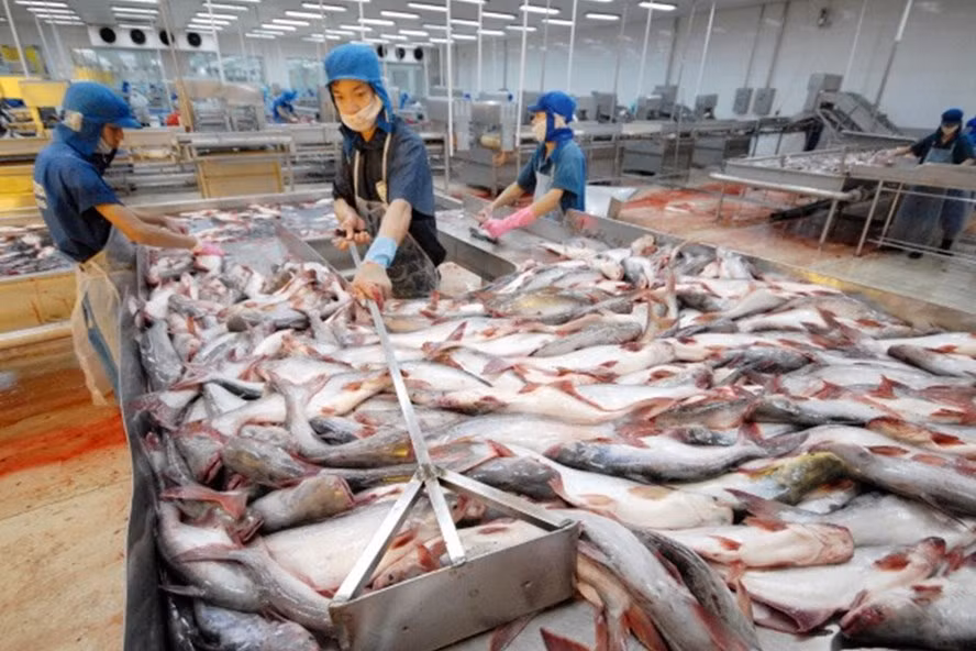 前8月份越南水产品出口额达55亿美元 ảnh 1