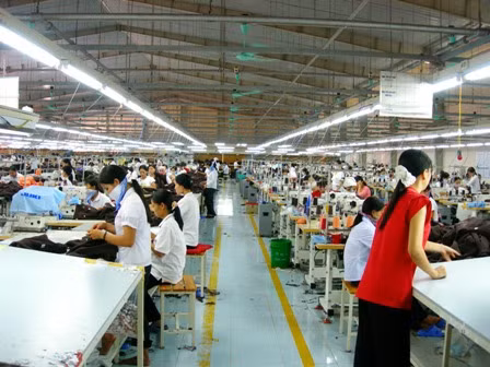 越南富寿省实现投资促进工作革新 加大招商引资力度 ảnh 2 越南富寿省实现投资促进工作革新 加大招商引资力度 ảnh 2