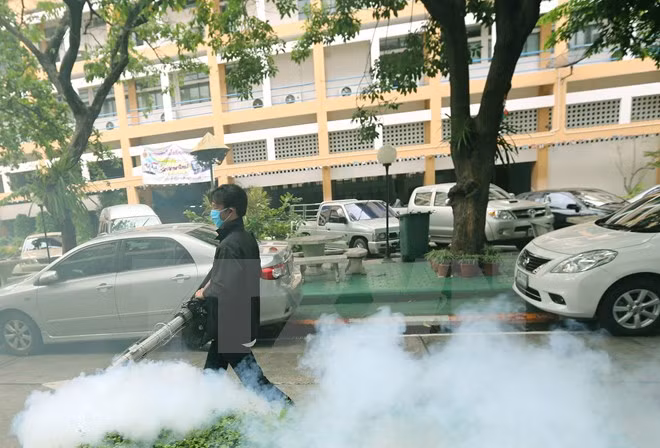 泰国官员称寨卡病毒对该国旅游业影响不大 ảnh 1