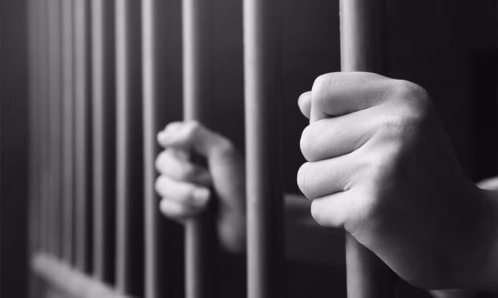越南国家主席决定为4名犯人从死刑减为无期徒刑 ảnh 1 越南国家主席决定为4名犯人从死刑减为无期徒刑 ảnh 1