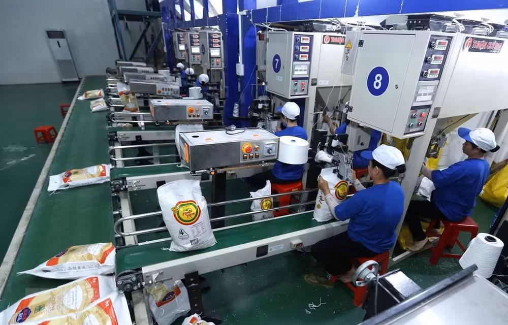 为越南商品进军北欧市场铺平道路 ảnh 2