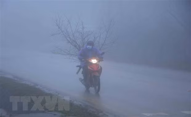越南北部天气严寒 山区局地气温低于5摄氏度 ảnh 1