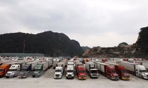 一周要闻回顾（2022.1.10-2022.1.17） ảnh 4