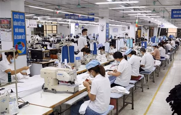 胡志明市受新冠肺炎疫情影响的劳动者达46.8% ảnh 1 胡志明市受新冠肺炎疫情影响的劳动者达46.8% ảnh 1
