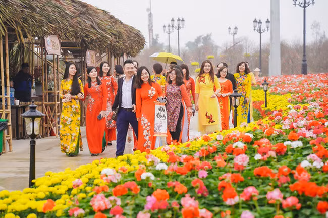 胡志明市公布2022年春季花卉节举办计划 ảnh 1