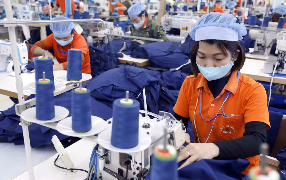 为越南商品进军北欧市场铺平道路 ảnh 1