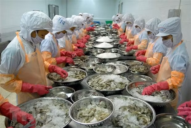 如何使贸易防卫不再成为出口障碍 ảnh 1 如何使贸易防卫不再成为出口障碍 ảnh 1