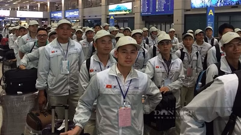 越南出国务工人员累计约58万名 ảnh 1