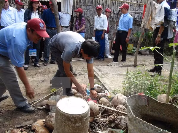 武德儋副总理:西原地区各省需加大登革热防控力度 ảnh 2 武德儋副总理:西原地区各省需加大登革热防控力度 ảnh 2