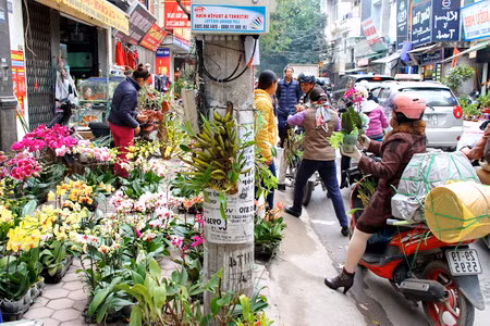 河内别具特色的柚集市 ảnh 1