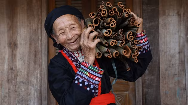 澳大利亚为越南妇女推出250万澳元的帮扶项目 ảnh 1 澳大利亚为越南妇女推出250万澳元的帮扶项目 ảnh 1