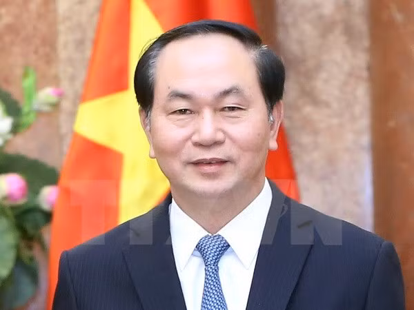 国家主席陈大光：越南一直支持法国积极和建设性的作用 ảnh 1