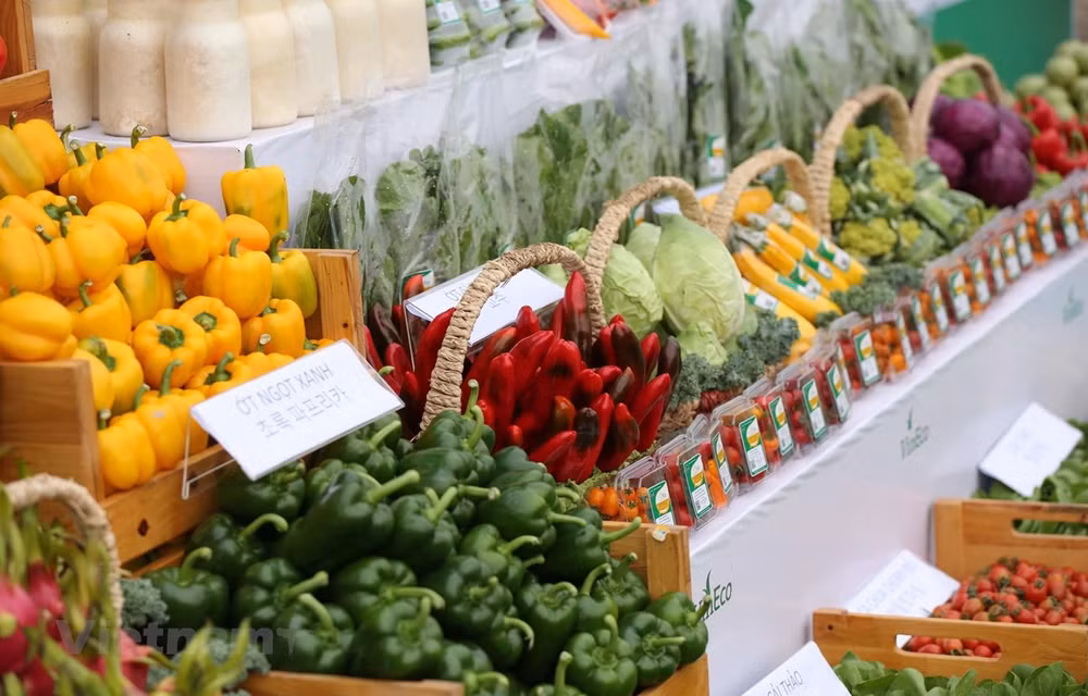 春节购物需求拉动影响全国CPI上涨0.8% ảnh 1