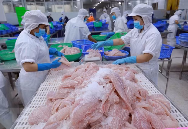 2023年8月越南农林水产品出口额下降9.5% ảnh 1