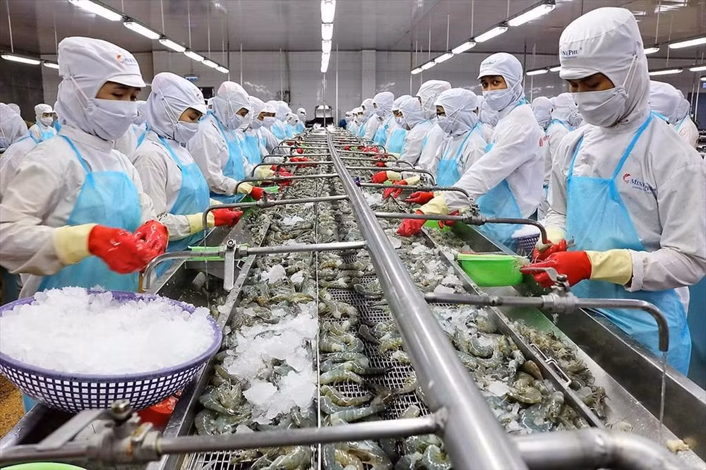 越南农林渔业多种商品降低出口目标 ảnh 1 越南农林渔业多种商品降低出口目标 ảnh 1