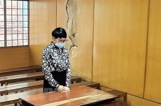 胡志明市一人在因脸书上发帖侮辱党和国家领导人被判有期徒刑十八个月 ảnh 1 胡志明市一人在因脸书上发帖侮辱党和国家领导人被判有期徒刑十八个月 ảnh 1