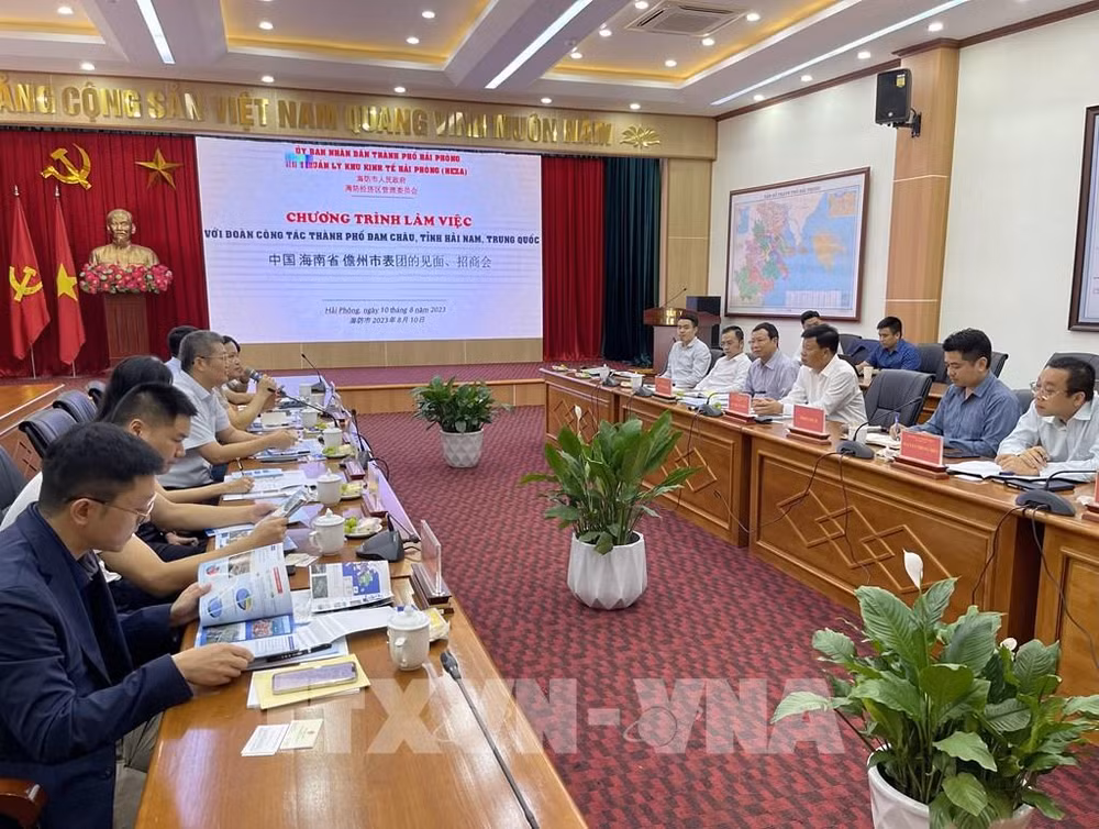 越南海防市与中国海南省分享物流、港口管理经验 ảnh 1