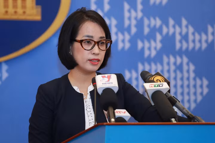 越南反对对越南渔船使用的武力行为 ảnh 1
