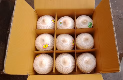 中国是越南椰子的主要出口市场 ảnh 1
