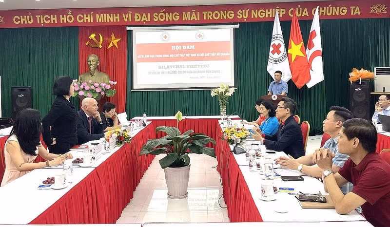 越南和加拿大红十字在人道主义活动上开展务实合作并互相支持 ảnh 1 越南和加拿大红十字在人道主义活动上开展务实合作并互相支持 ảnh 1