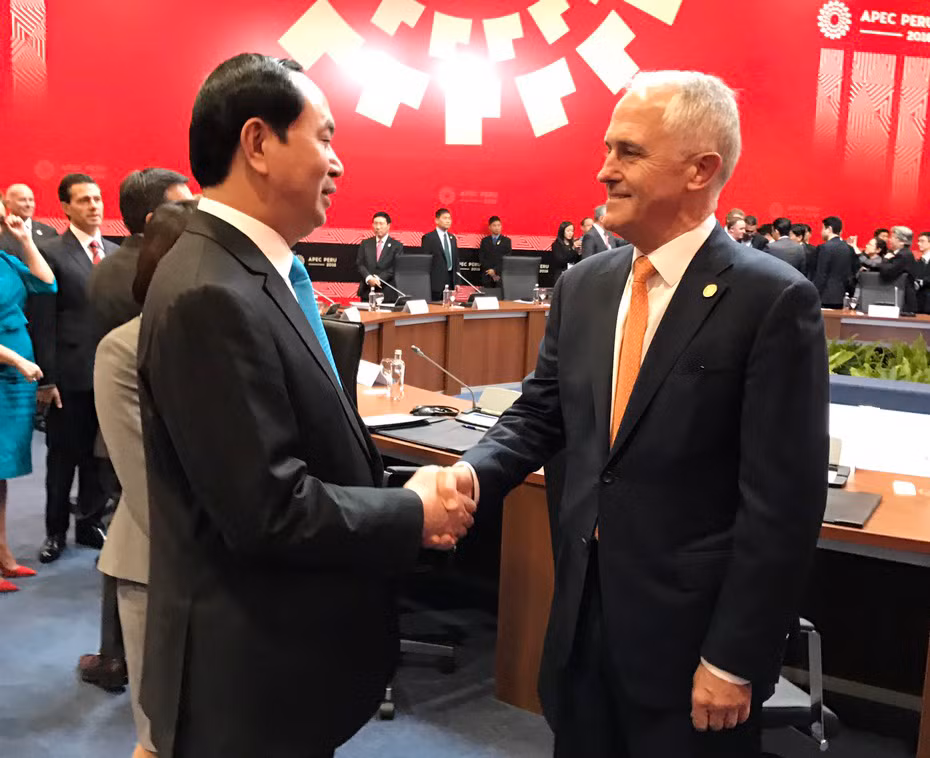 陈大光主席与各国元首和领导人举行双边会晤 ảnh 5