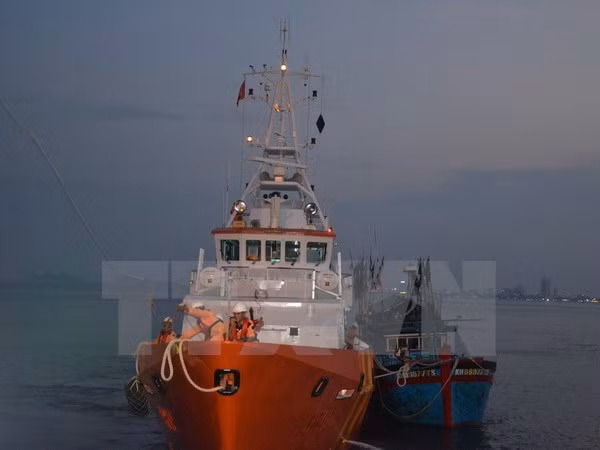 乂安省成功将 NA 93362 TS 号渔船的船员安全送上岸 ảnh 1