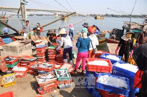 承天顺化省加强临海地带资源开发与管理力度 ảnh 1 承天顺化省加强临海地带资源开发与管理力度 ảnh 1