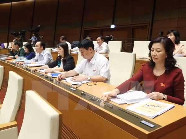 越南第十四届国会第二次会议发表第二十二号公报 ảnh 1